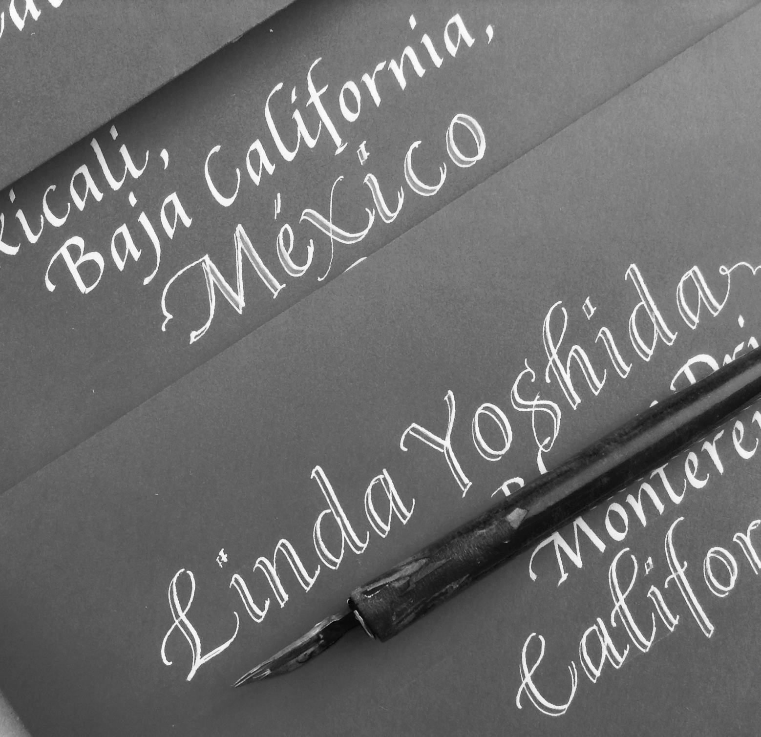 italic-calligraphy-portfolio