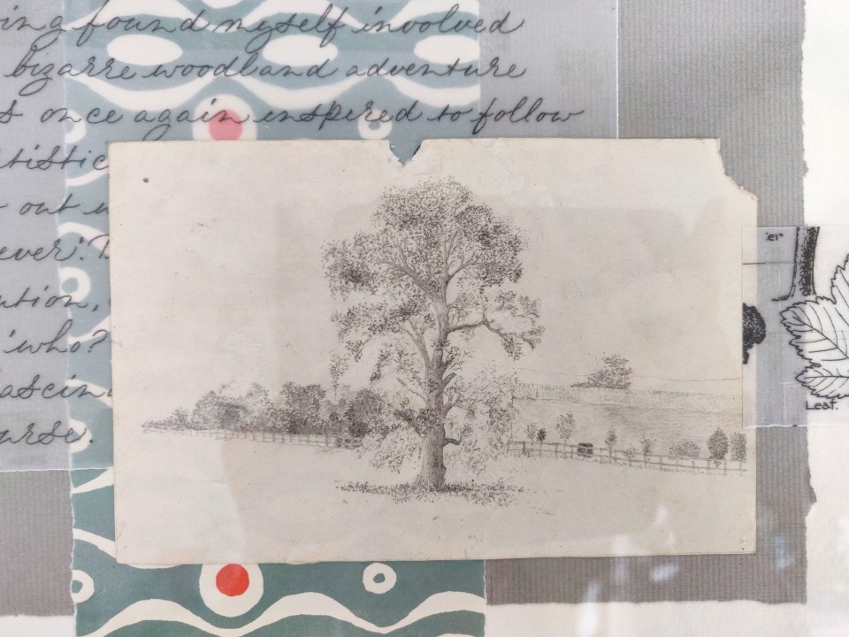 pencil-drawing-with-cursive-calligraphy-in-collage-uk